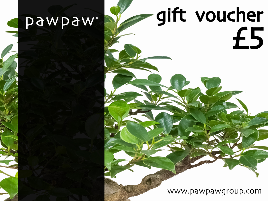 pawpaw gift vouchers