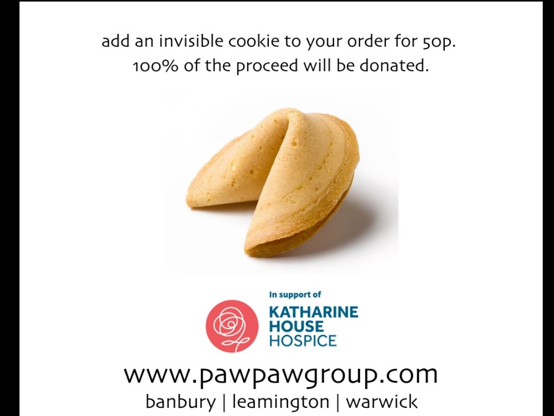 katharine house invisible lucky cookie